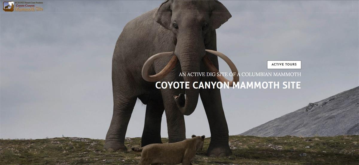 Coyote Canyon Mammoth Site image